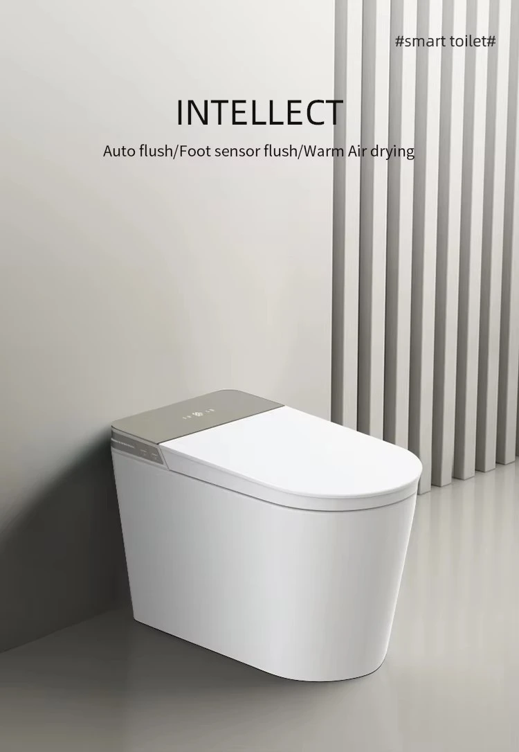 Sanitary Ware Automatic Smart Toilet Sanitary Ware Automatic Smart Toilet