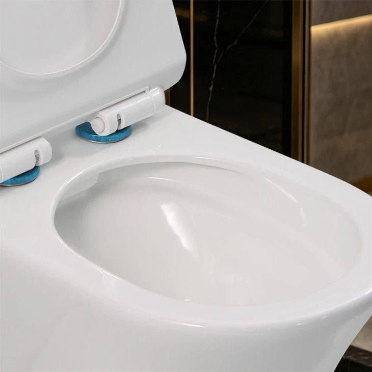 Luxury Compact Rimless Back to Wall WC high quality