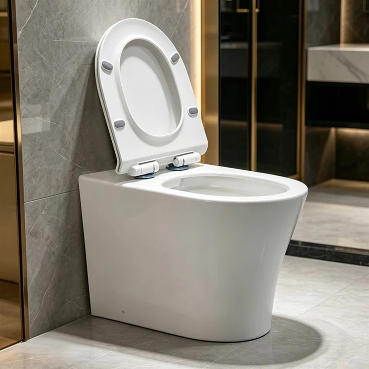Luxury Compact Rimless Back to Wall WC suppliers