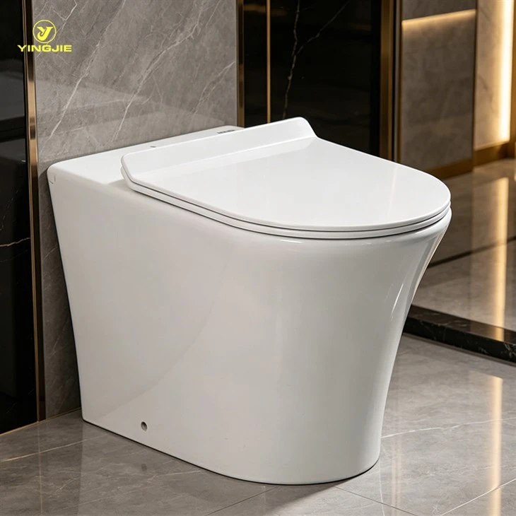 ھەشەمەتلىك ئىخچام رىمسىز تام WC غا قايتىش